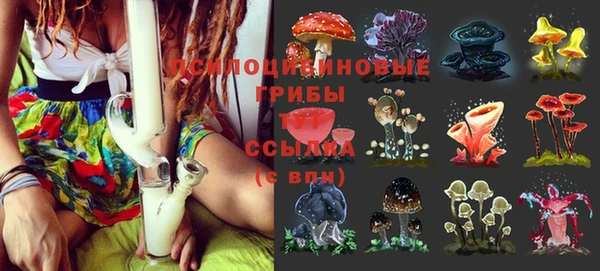 марки lsd Зеленокумск