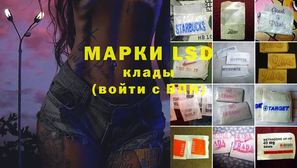 ГАЛЛЮЦИНОГЕННЫЕ ГРИБЫ Зерноград